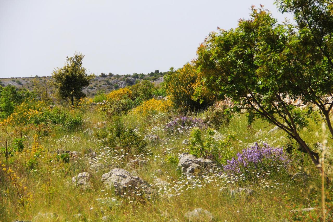 Villa Zlatno Sunce In The Hills Near Trogir Vrsine Exterior foto