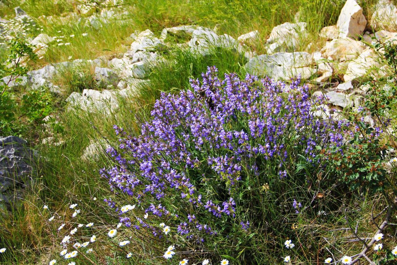 Villa Zlatno Sunce In The Hills Near Trogir Vrsine Exterior foto